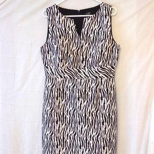 Jungle Print Midi, Black-on-White, Sz 12 ,NWOT